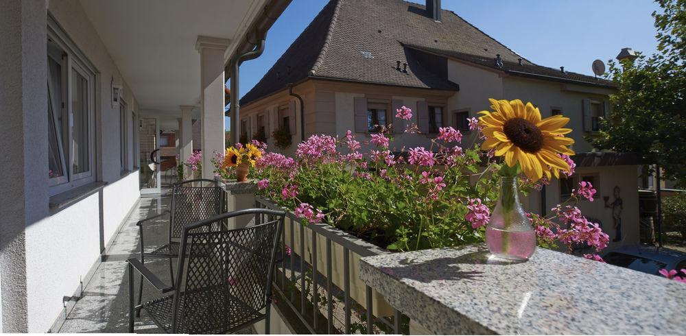 Hotel Loewen Garni Oberrimsingen 外观 照片